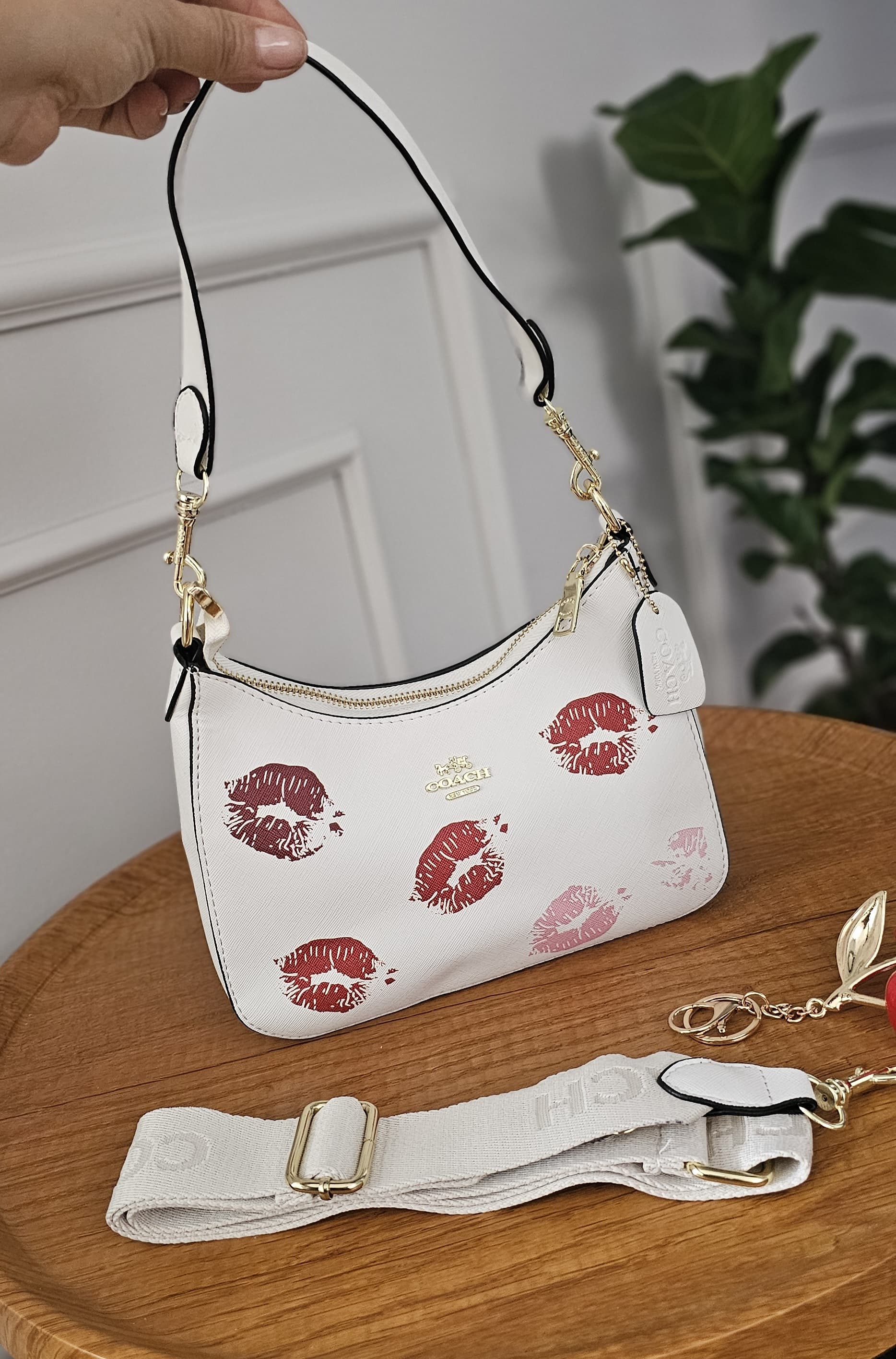 Doly Coach