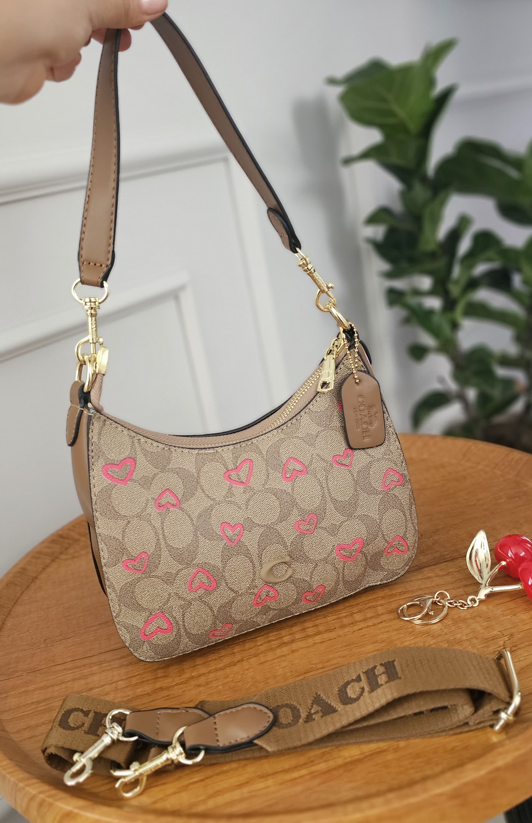 Doly Coach
